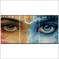 Ardhnarishwar Eyes Split Posters for Wall Decoration | Wall Art For Bedroom, Office, Living room, Dorm room