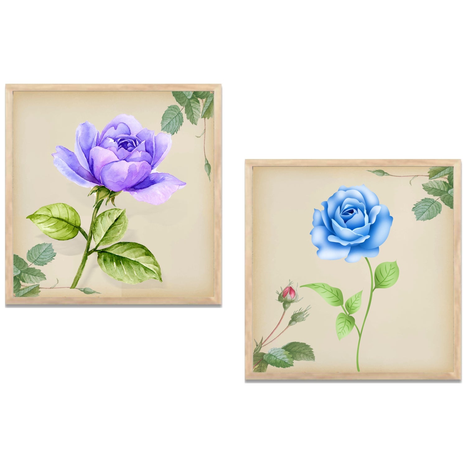 FramingoKart Botanical Flower Design Wall Art Painting | Premium Framed Paintings | Poster With Frame Wall Decoration| Frames For Home Decor Office Living Room | Set of 2 ( (10X10inch), Framed)