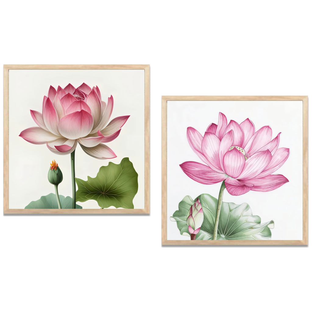 FramingoKart Lotus Flower Design Wall Art Painting Digital Reprint 10 inch x 10 inch Painting  (With Frame, Pack of 2)
