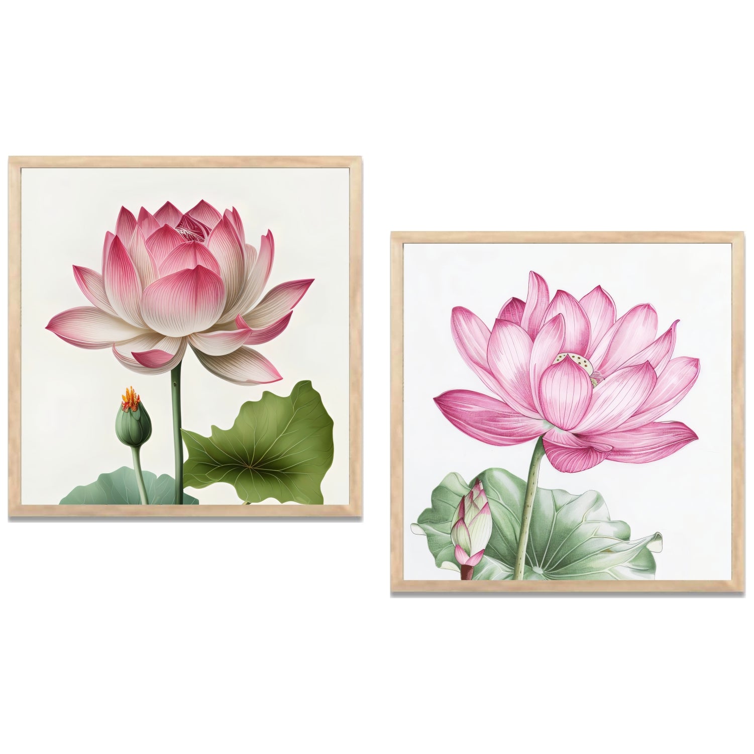 FramingoKart Lotus Flower Design Wall Art Painting Digital Reprint 10 inch x 10 inch Painting  (With Frame, Pack of 2)
